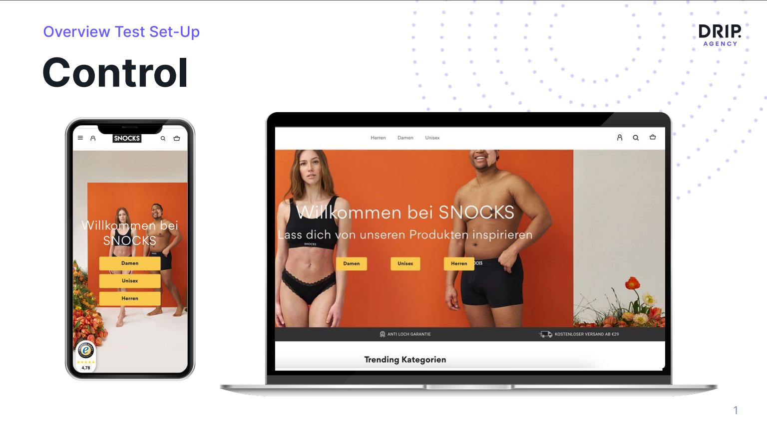 Search visibility control for SNOCKS homepage